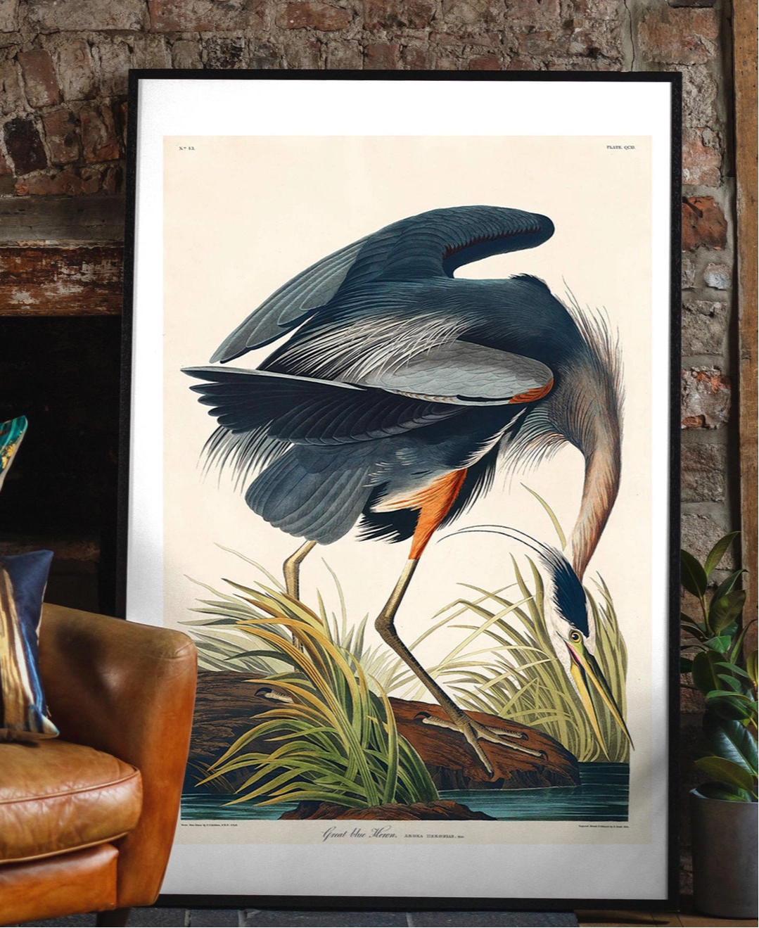 Blue Heron Vintage Antique Bird Print
