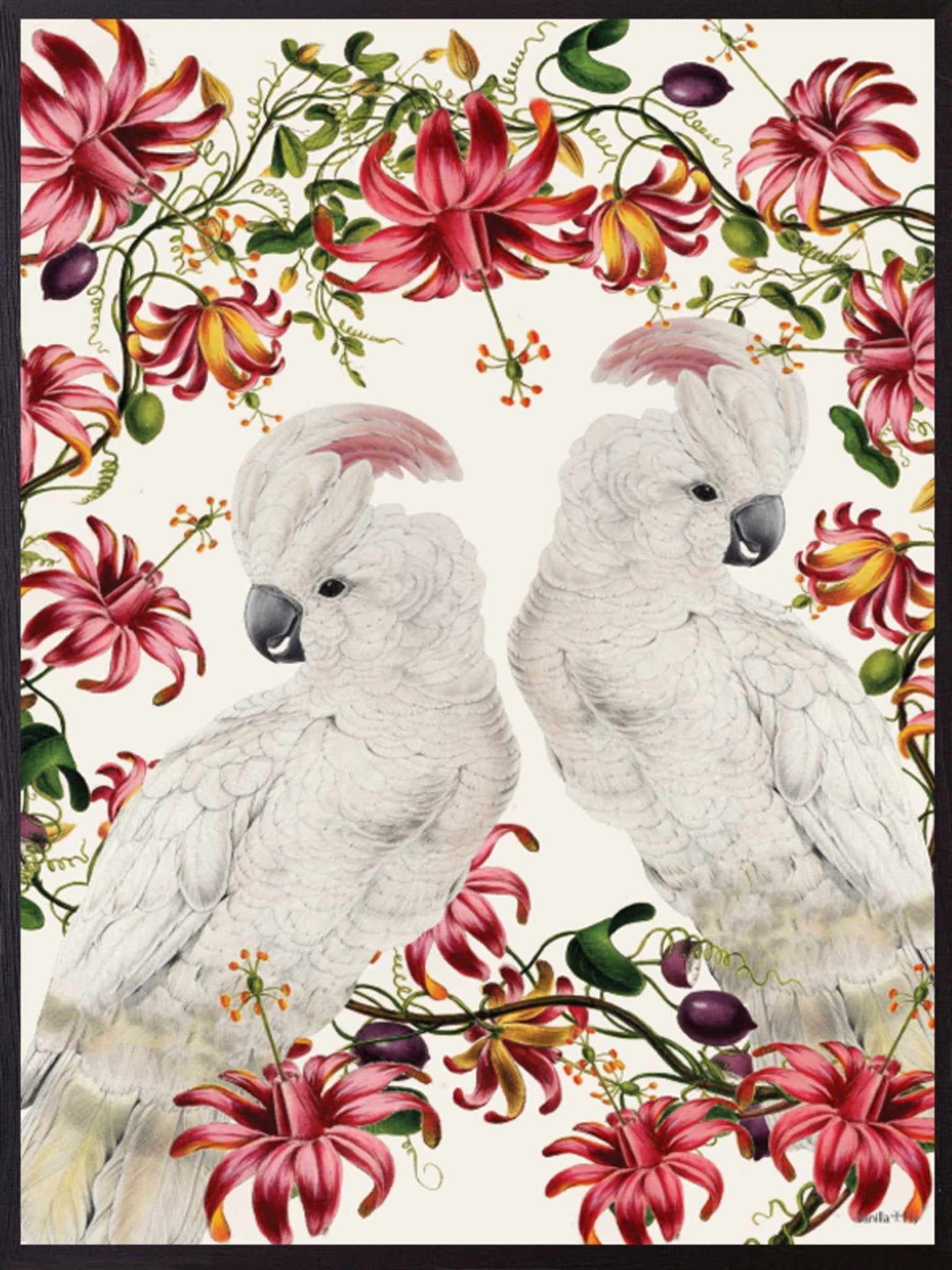 Large Parakeet birds print - stoneandbeige