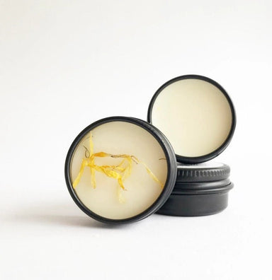 Minty Fresh | Vegan Lip Balm - Sustainable & Organic - stoneandbeige