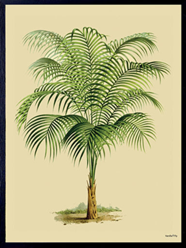 Palm Tree Print - stoneandbeige