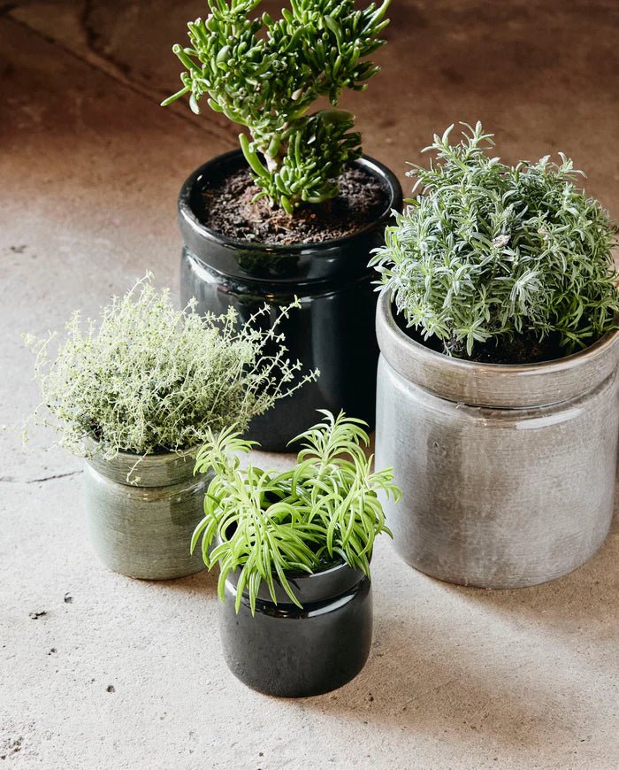 Vases + Planters - stoneandbeige