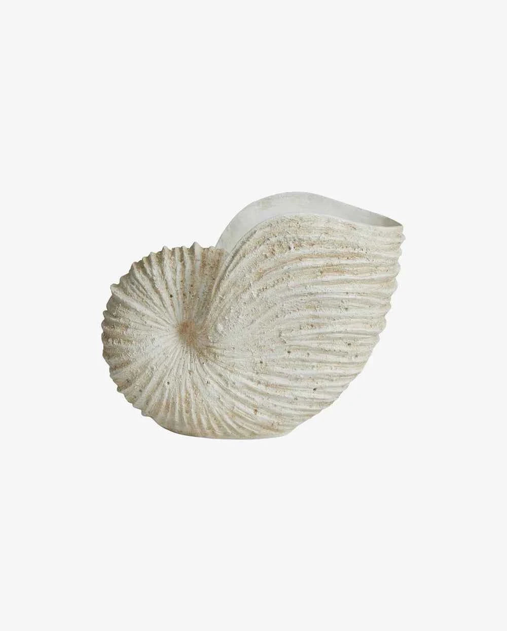 shell vase