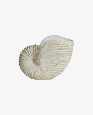 shell vase
