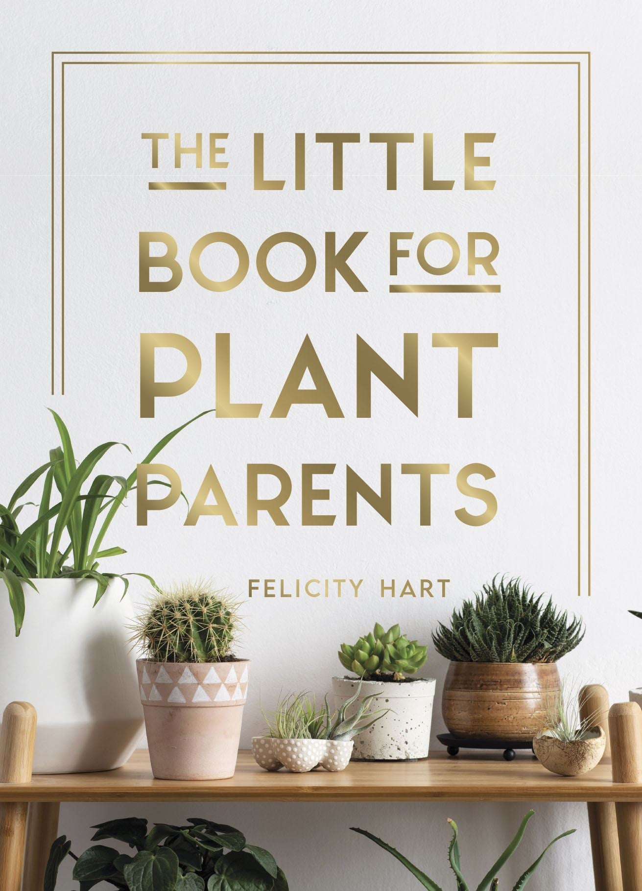 Little Book For Plant Parents