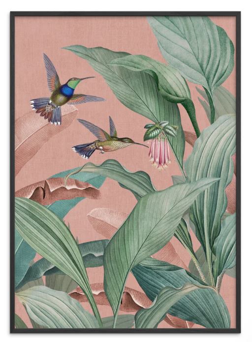 Vintage-inspired print celebrating tropical birds