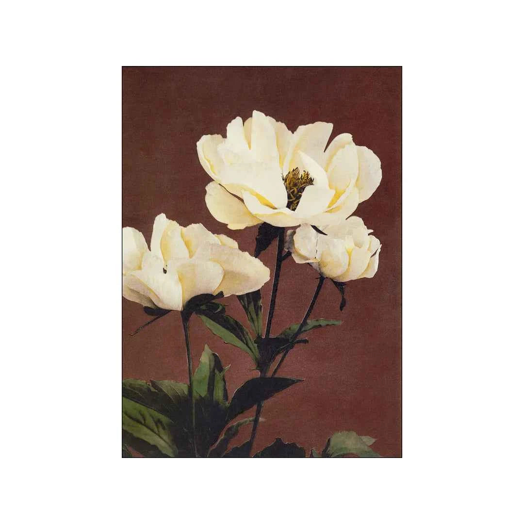 Botanical art print featuring a delicate herbaceous peony flower in soft natural tones.