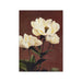 Botanical art print featuring a delicate herbaceous peony flower in soft natural tones.
