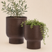 Set of two matt ruby wine plant pots styled with green plants against a warm beige background.
