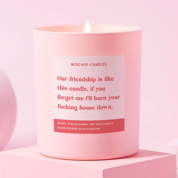 Soy Wax Friendship Is Like This Candle