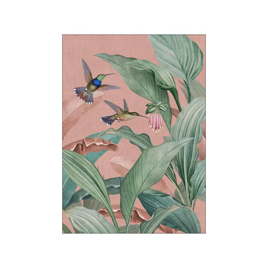 Vintage-inspired art print celebrating colourful tropical birds among lush botanical foliage.