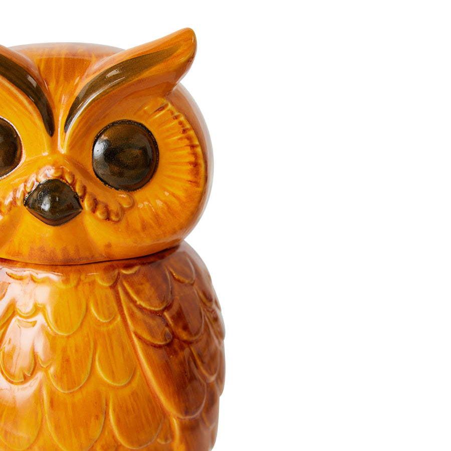 HKLIVING Ceramic Owl Jar