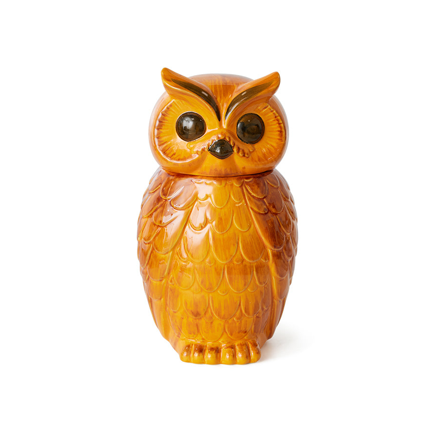 HKLIVING Ceramic Owl Jar