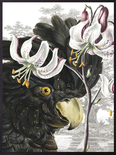 Black Parrot Print - stoneandbeige