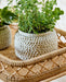 Cement Beige Tone Plant Pot - stoneandbeige