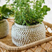 Cement Beige Tone Plant Pot