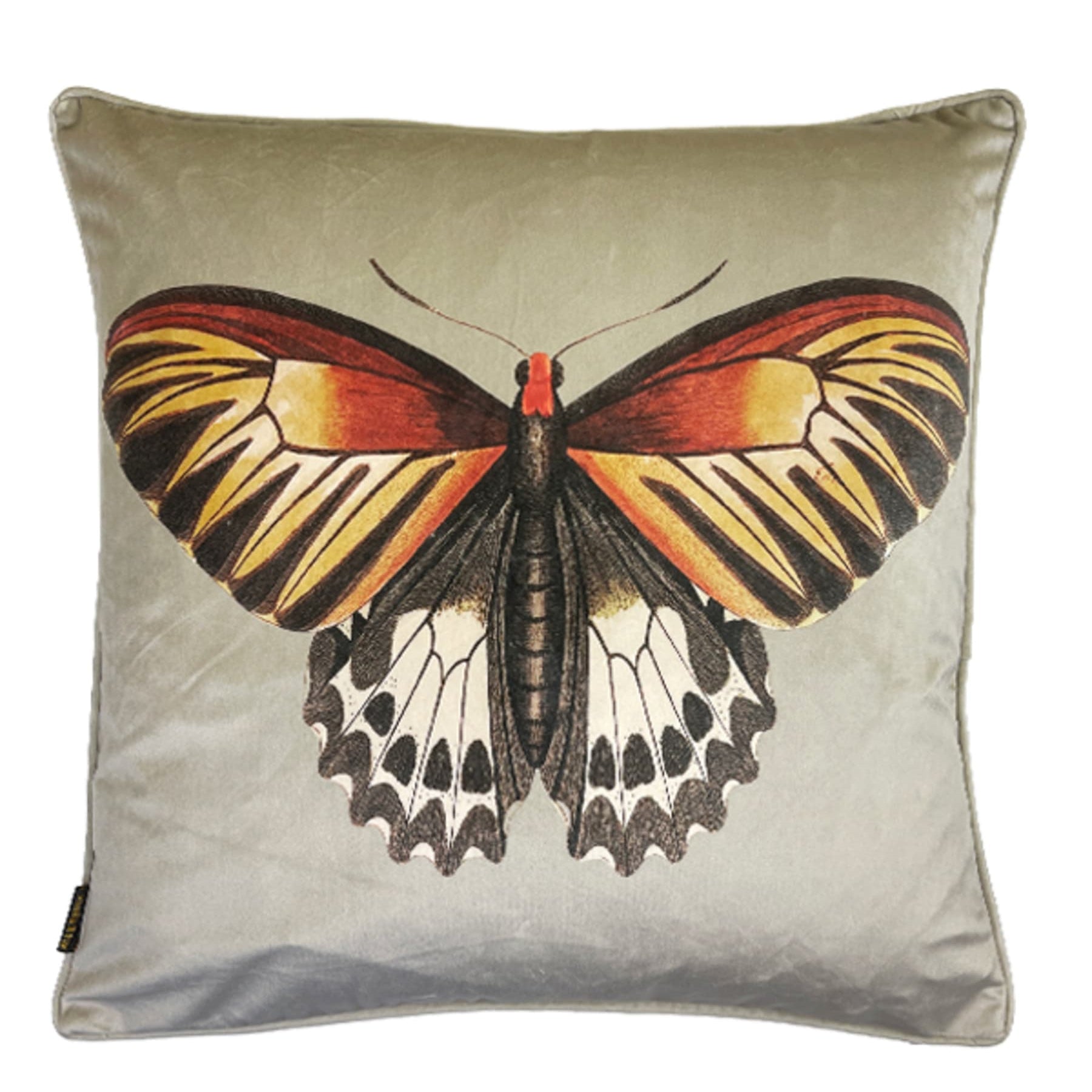 Colourful Butterfly Cushion