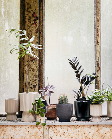 Dark Green Ribbed Ceramic Plant Pot - stoneandbeige