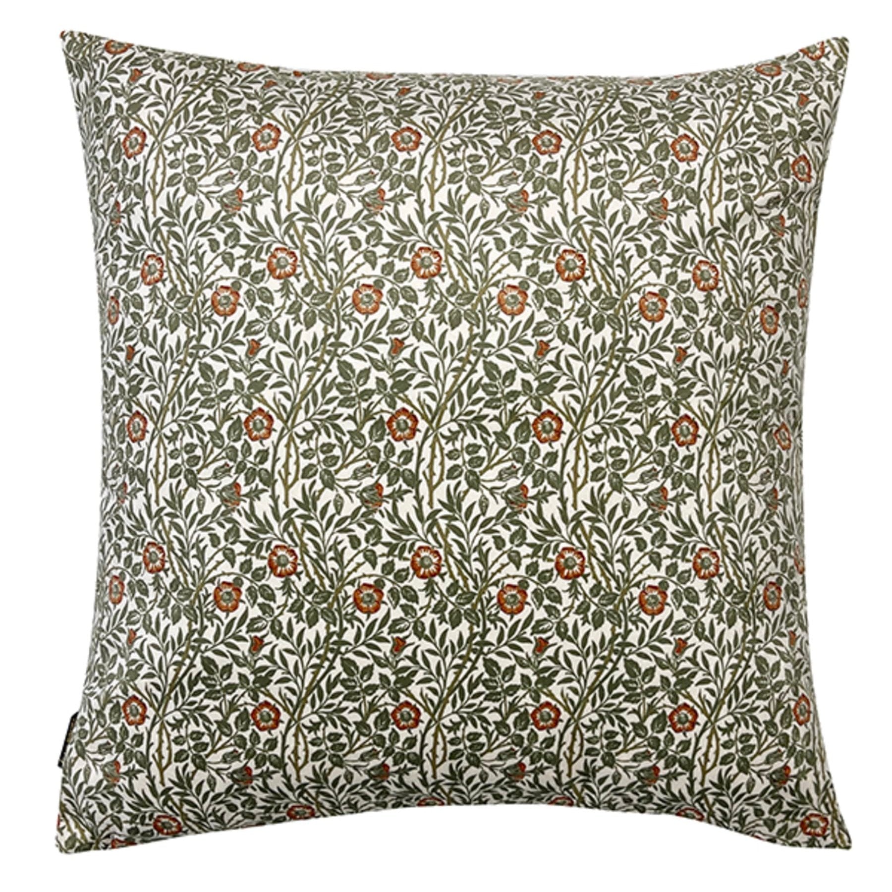 May Fly Orange + Green Velvet Cushion