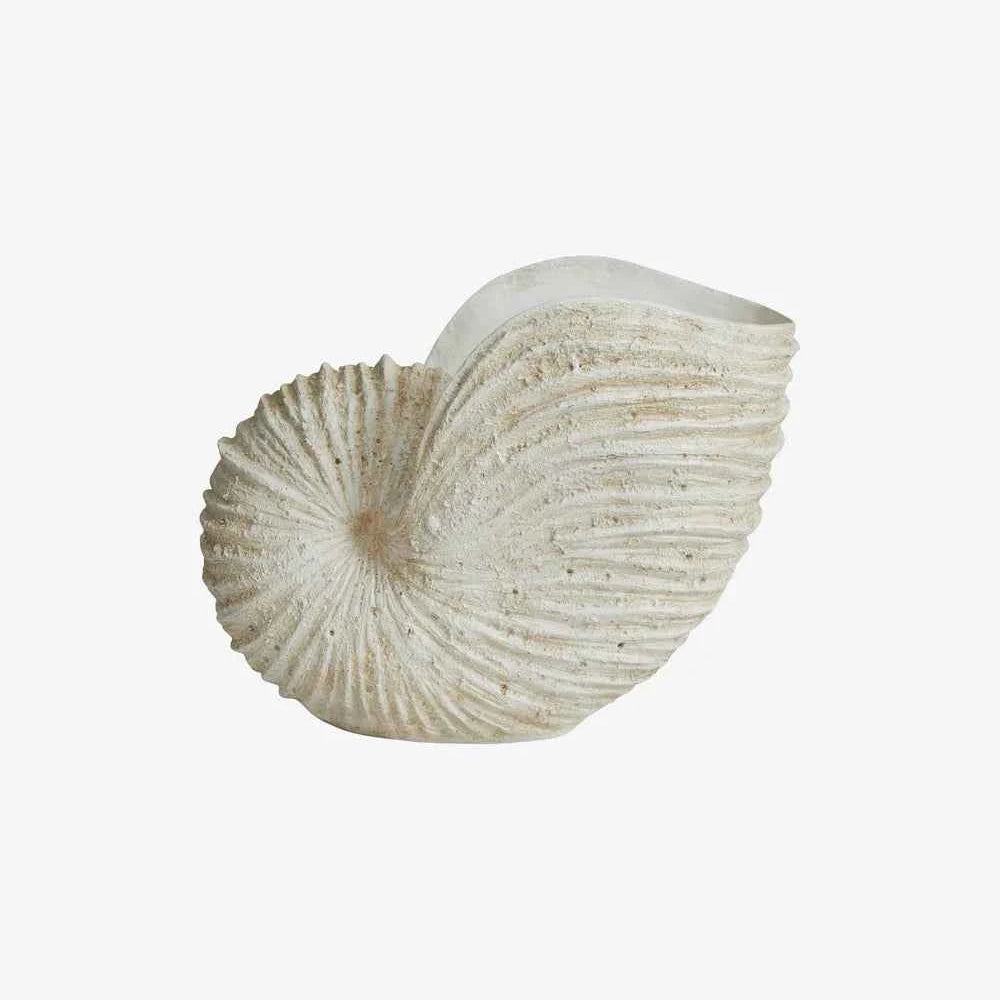 Handcrafted sculptural shell vase with an organic silhouette and contemporary decorative design.