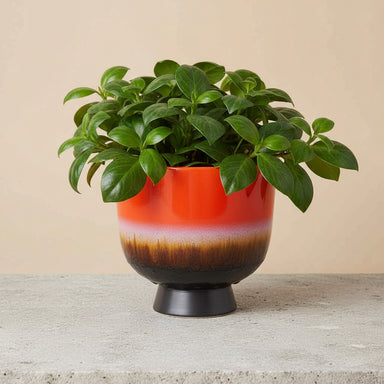 HKLIVING red and black tie dye glazed plant pot crafted from ceramic with a unique reactive glaze and contemporary design.