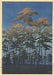 Japanese Forest Wall Art Print - stoneandbeige
