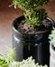 Large Black Gloss Planter - stoneandbeige