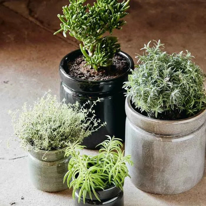 Large Black Gloss Planter