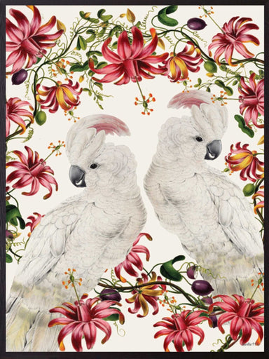 Large Parakeet birds print - stoneandbeige