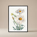 Matilija Poppy Flower Illustration Print - stoneandbeige