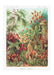 Mushroom Forest Vintage Antique Print - stoneandbeige