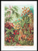 Mushroom Forest Vintage Antique Print - stoneandbeige