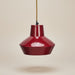 Raspberry Contemporary Ceiling Light - stoneandbeige