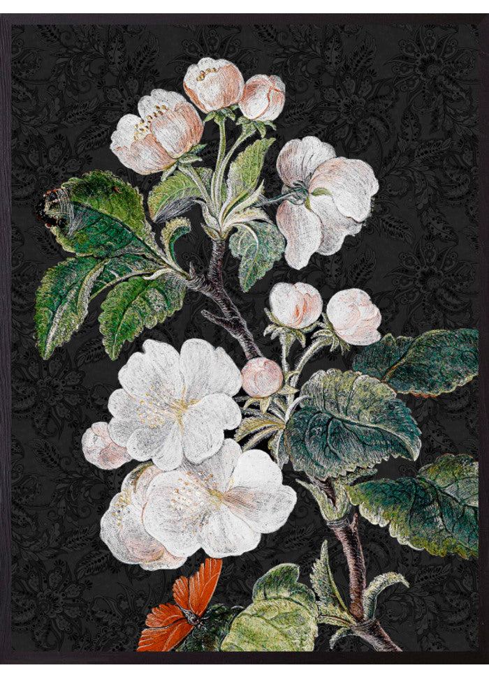 Large Black Apple blossom Wall Art Print