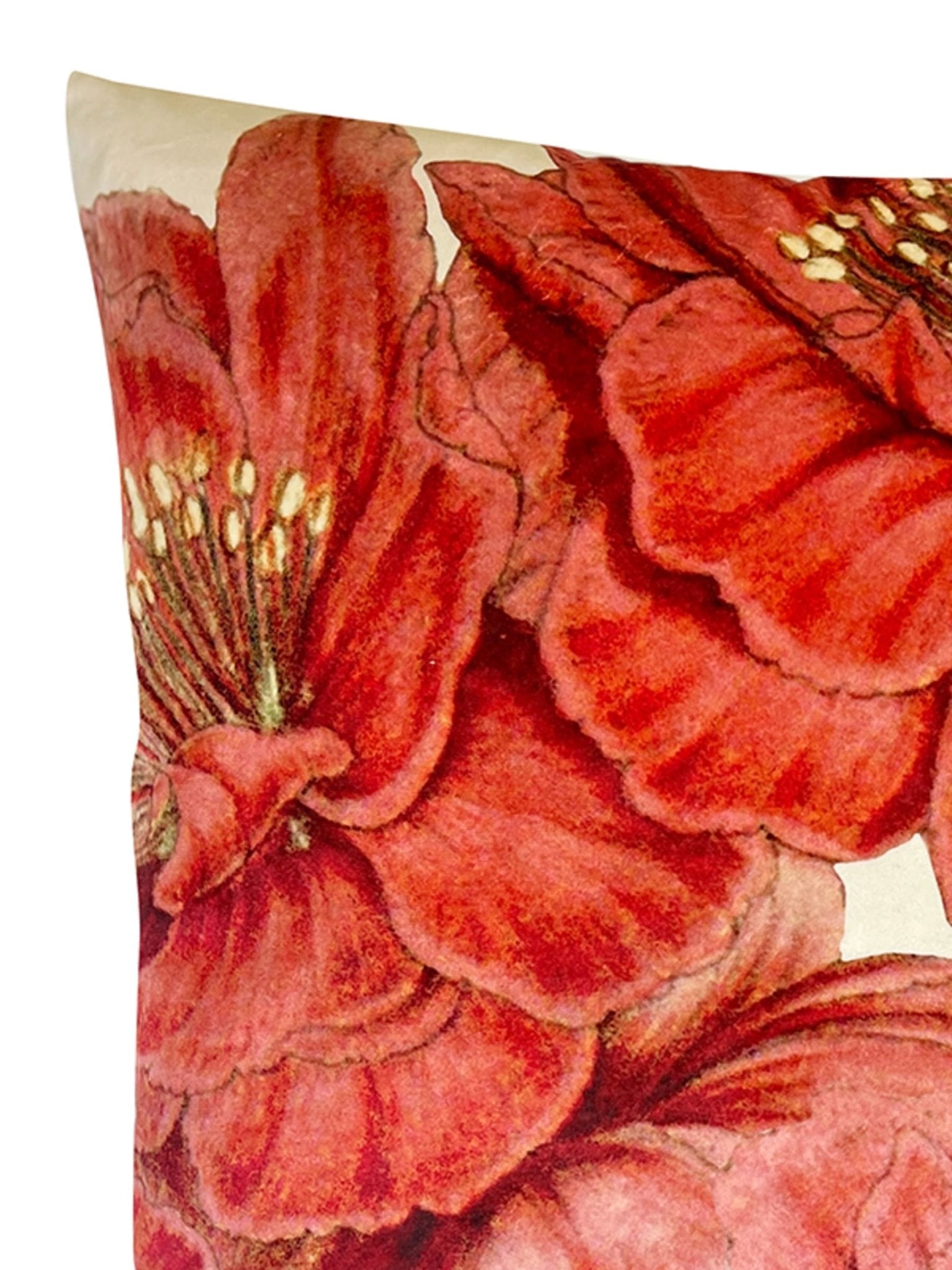 Red Flower Velvet Cushion - stoneandbeige