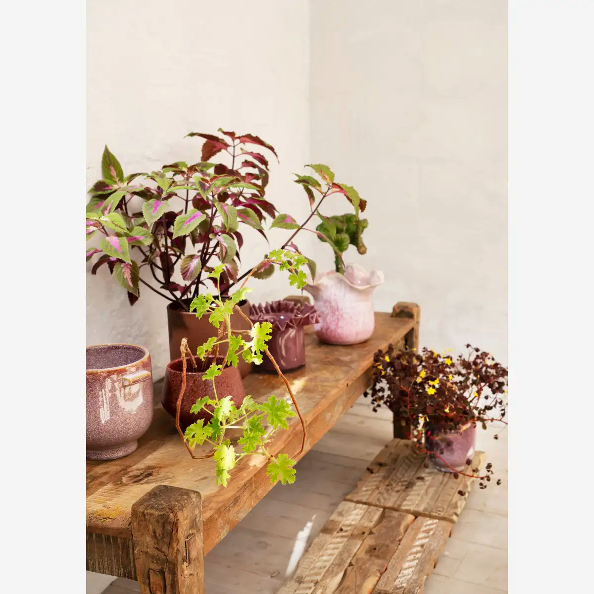 Set of Two Matt Ruby Wine Plant Pots