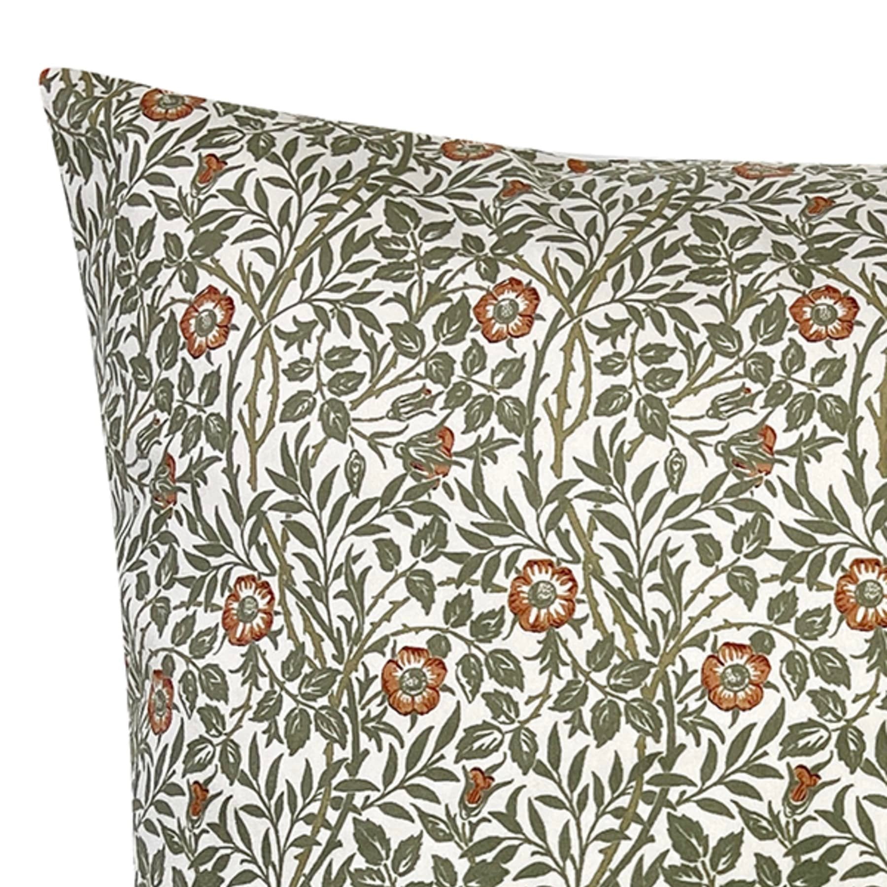 May Fly Orange + Green Velvet Cushion