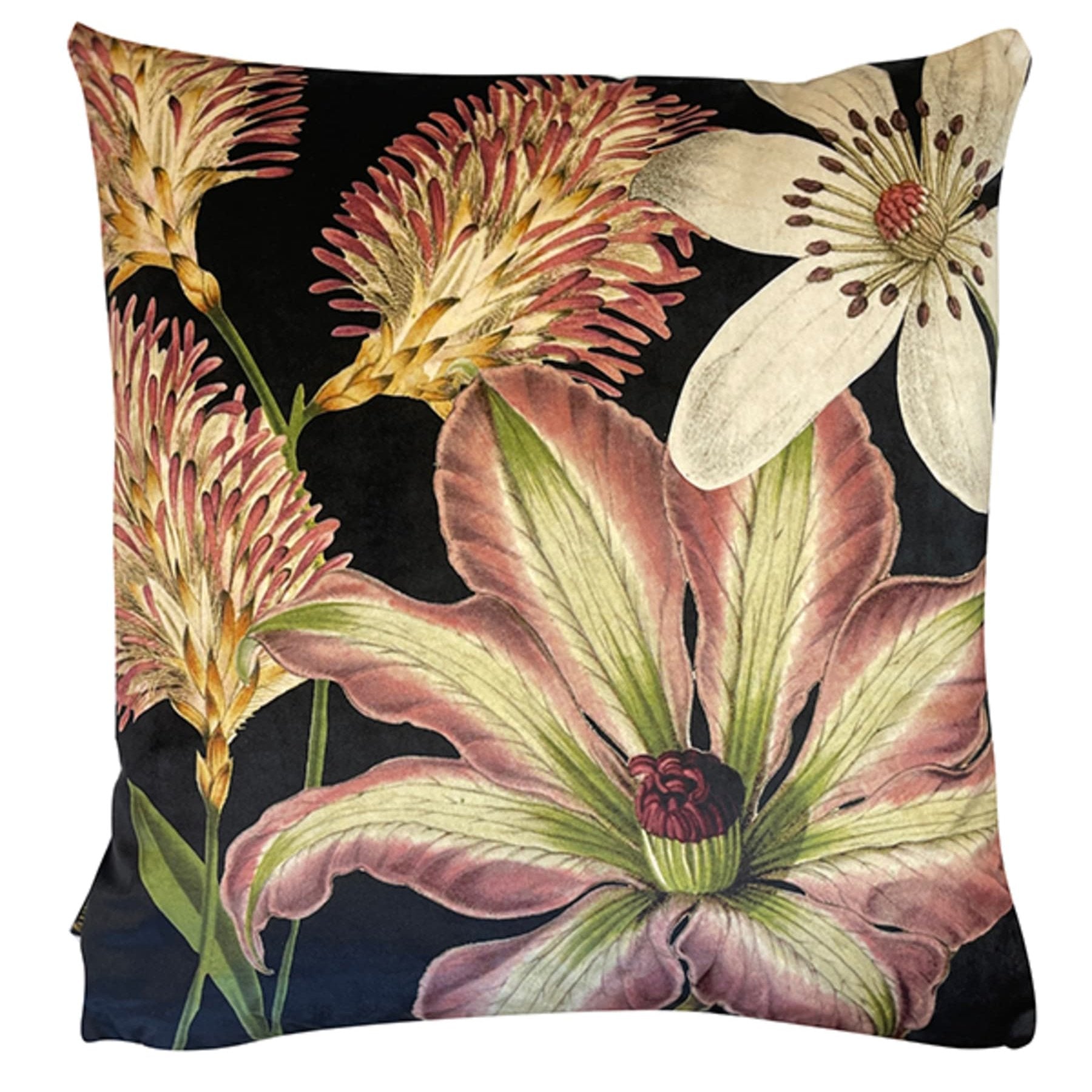 Arctic Dusk Flower Black Velvet Cushion