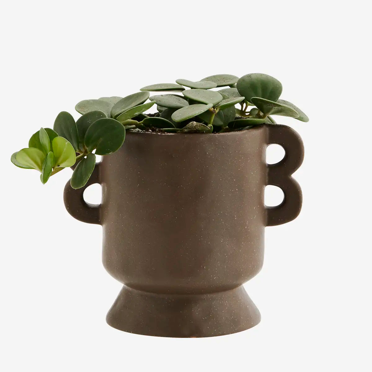 Dark Brown Stoneware Plant Pot